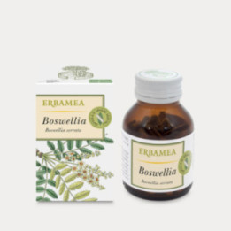 Boswellia Incenso – 50 capsule vegetali