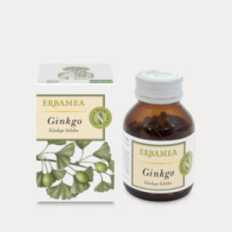 Ginkgo – 50 capsule vegetali