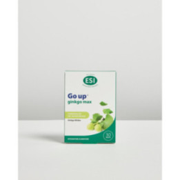 Go up ginkgo max – 30 ovalette