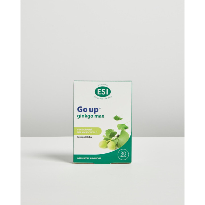 Go up ginkgo max – 30 ovalette