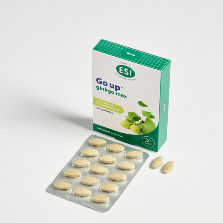 Go up ginkgo max – 30 ovalette