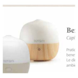 Diffusore a ultrasuoni Berry Zenzero
