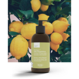 Botanitech Shampoo Sebo Control 200 ml