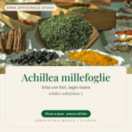 Achillea millefoglie – sfusa  100 g