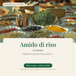 Amido di riso – sfuso  100 g
