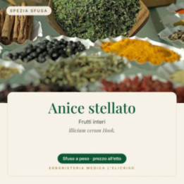 Anice stellato – sfuso  100 g