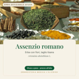 Assenzio romano – sfuso  100 g