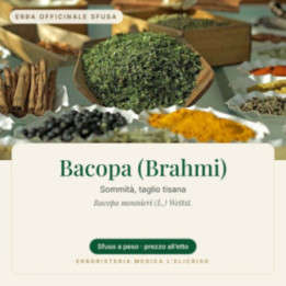 Bacopa (Brahmi) – sfusa  100 g