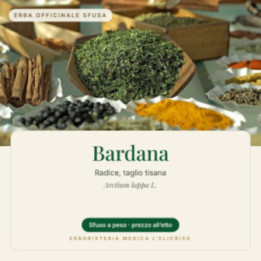 Bardana – sfusa  100 g