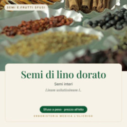 Semi di lino dorato – sfusi  100 g