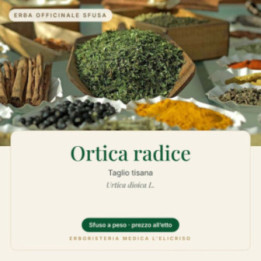 Ortica radice – sfusa  100 g