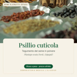 Psillio cuticola – sfuso  100 g