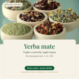 Yerba mate – sfusa  100 g