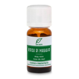 Essenza Rosa di Maggio – 10 ml