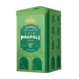Epid Royal Box erbe silvestri – latta con 2 sacchetti da 67 2 g