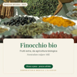 Finocchio bio – sfuso  100 g