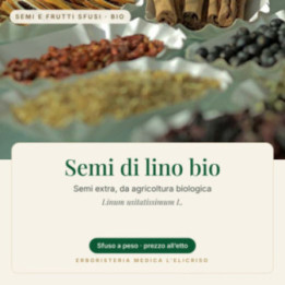 Semi di lino bio – sfusi  100 g