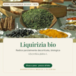 Liquirizia radice bio – sfusa  100 g