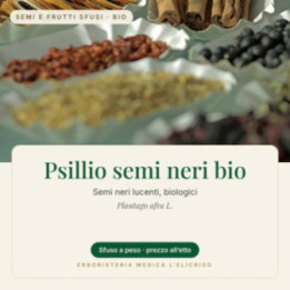 Psillio semi neri bio – sfuso  100 g