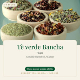 Tè verde Bancha – sfuso  100 g