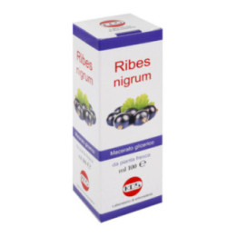 Ribes nigrum macerato glicerico 100 ml