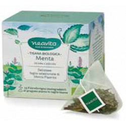 Menta (Mentha x piperita)